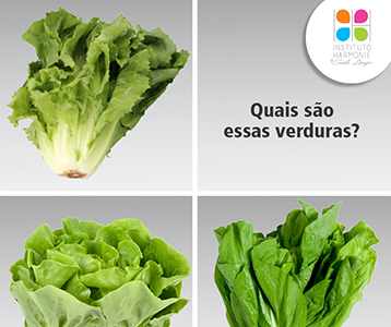 Responda rápido: quais são as verduras da foto? Responda rápido: quais são as verduras da foto?